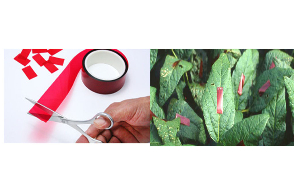 In-depth Electrical In-depth Electrical